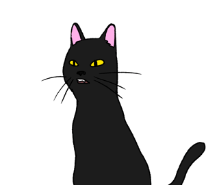 Salem le chat animation au hover